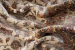 Machine Carpet – Kashmir collection – 2042 - Image 9