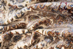 Machine Carpet - Crystal collection - 2387 - Image 11