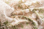 Machine Carpet - Versailles Collection - 4268 - Image 11