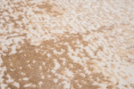 Machine Carpet - Moscow collection - 7225 - Image 7