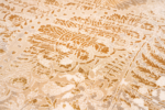 Machine Carpet - Antique collection - 5227 - Image 7